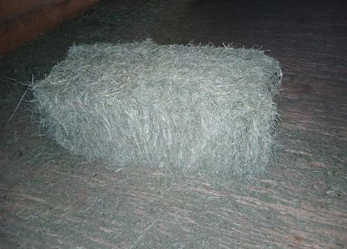 Heuballen 1/2/3 Schnitt