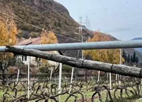 Überlegerrohre, Fußachsen für Weinbauanlage