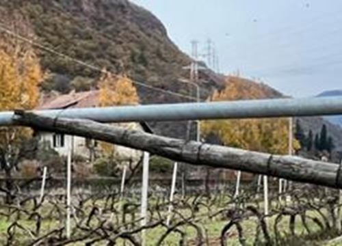 Überlegerrohre, Fußachsen für Weinbauanlage