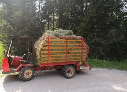 Transporter